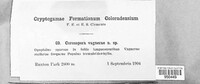 Image Associated With the Occurence